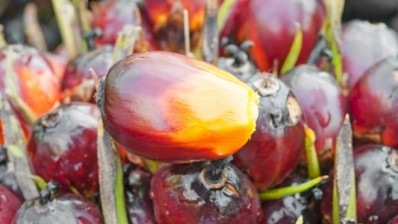 Can a best practice guide on palm oil production really make changes in the industry? © iStock