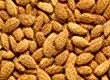 Raw material price hikes in nuts hit natural snacks sales at Zetar