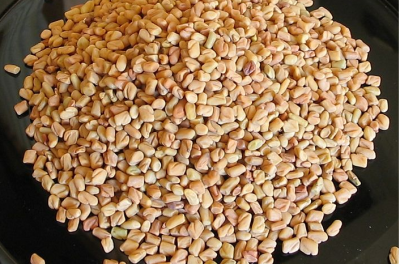 Fenugreek sprouted seeds was eventually found to be the source