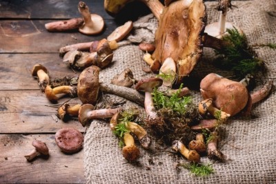 "My foraging activities contribute to the growing conversation, the perennial conversation, as to what it means to be human, to live a good life, and to live sustainably," says Drennan.