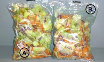 "Four season salad” bags in PP/EVOH films with oregano essential oil (A) and citral (B) from the study