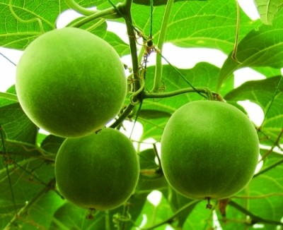 Imperial Sugar has created low sugar sweeteners containing monk fruit