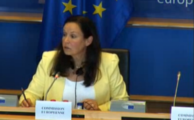 Sabine Jülicher speaking at the meeting on fipronil