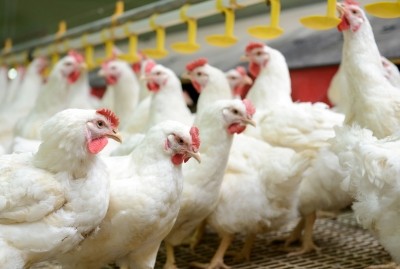 Russia’s National Meat Association claims Russia's poultry prices are among the lowest in the world