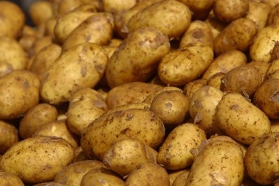Wacker bioengineers gamma-cyclodextrins from foods such as potatoes