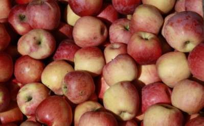 Bidart Bros. Granny Smith and Gala apples have been recalled