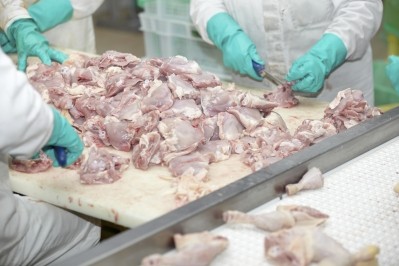 Self-proclaimed republics in East Ukraine are attempting to develop a poultry meat industry