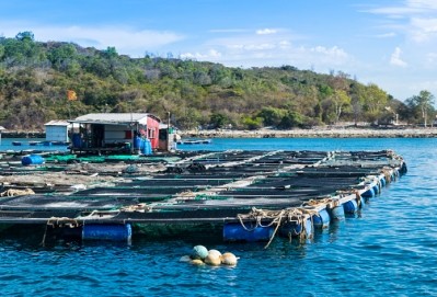 Aquaculture feed is the world's fastest-growing animal feed industry, according to Alltech
