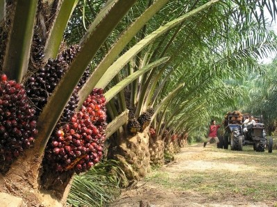 Palm oil accounts for about 2 kg French sat fat consumption