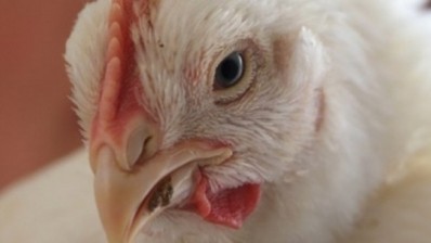 The Vinnytsia poultry farm now has permission to export poultry to 64 countries around the world