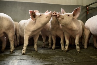 Denmark has done a lot to raise standards in the pig meat sector