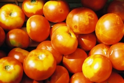 Princes invests in new tomato processing business