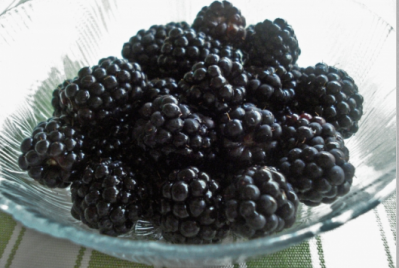 Bulgarian blackberries have been investigated as part of the outbreak