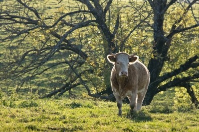 EU claims livestock subsidies were misspent