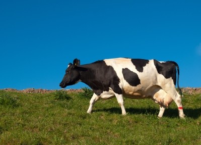Meat industry is behind dairy industry in terms of life-cycle assessment