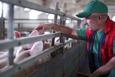 US pork exports tipped to rise as new markets, like South Africa, open for trade