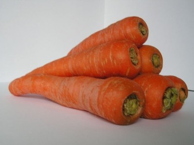 Survival of E.coli O157:H7 in fresh-cut packaged carrots