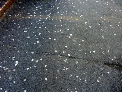 The bill had hoped to tackle gum litter on streets