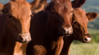 Nestlé also confirmed that it has commissioned an independent auditor, SGS, to carry out checks to ensure the new standards of animal welfare are met on its supplying farms.