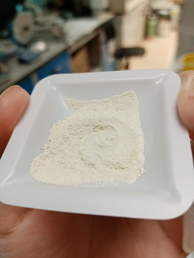 Microalgae Protein Concentrate