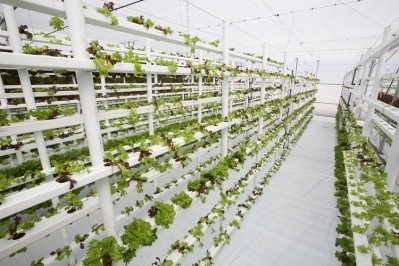 vertical farming LouisHiemstra
