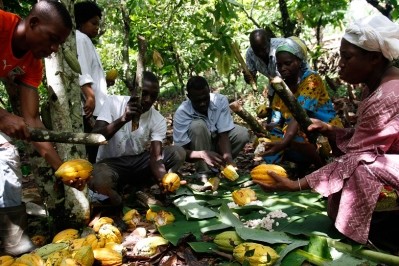 ‘The cocoa sector will not be sustainable as long as cocoa farmers cannot earn a living income’. Pic: GISCO