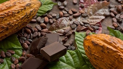 The cocoa and chocolates industry in Asia Pacific is concerned that the EU Deforestation Regulation could lead a two-tier market for cocoa beans, which could have far-ranging cost and pricing implications. ©Getty Images