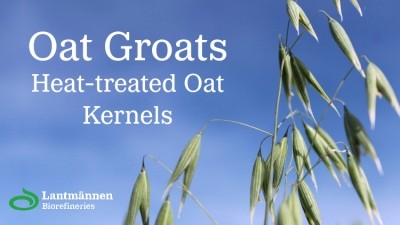 Oat Groats – Heat-treated Oat Kernels