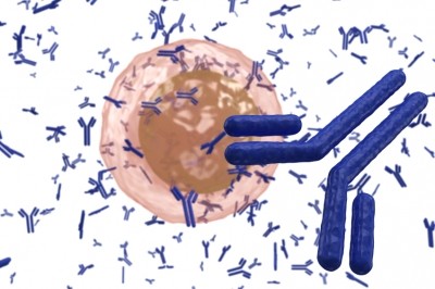 Antibody Picture: iStock/extender01