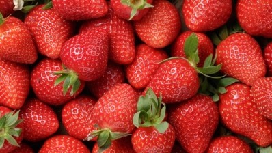 Picture: iStock. The current outbreak is not connected with a past outbreak linked to strawberries