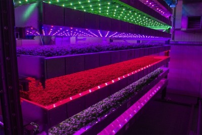 IGS formally opens its first demo vertical farm in Scotland ©IGS