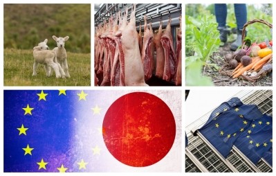 Pork acid washes, endocrine disruptors & trade deals: A round up of EU news and views