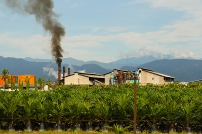 RSPO suspends FGV palm oil mill and four plantations over labour rights abuses