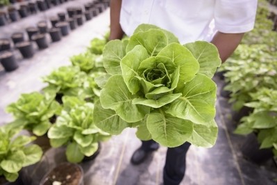 The Israeli ag-tech company is leveraging transgenic modification and molecular farming techniques to produce high yields of natural compounds for the food industry. GettyImages/Monty Rakusen