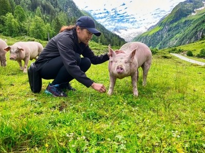 The study analysed how much potential there is of infectious disease outbreak in Austria's pig system. Image Source: pressdigital/Getty Images