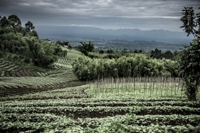 Kivu, DRC has long been a site of conflict. Nespresso aims to revitalise coffee in the region. Image Source: Getty Images/GlobalP