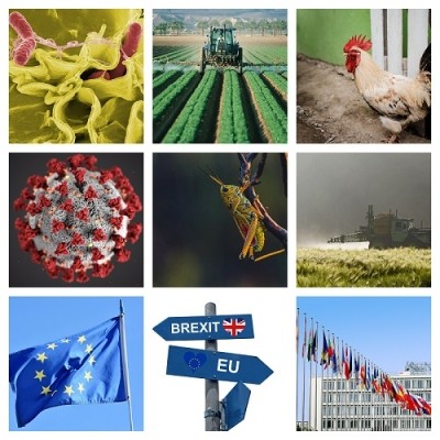 Brussels Bulletin: Commission adopts additional measures to support the agri-food sector