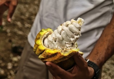 Koa has collaborated with seedtrace in Germany and MTN Group in South Africa to implement a new ‘tamper-proof’ transparency system that records payments made to cocoa smallholders. GettyImages/Eliot76