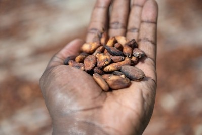 Cocoa. Image Source: Milequem Diarassouba/Getty Images
