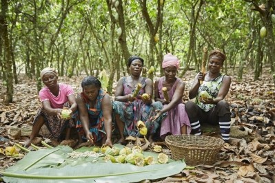 Olam Cocoa wants to support a sustainable future for cocoa / Pic: Olam Cocoa 