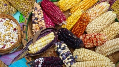 What percentage of the population can be adequately fed on local crops, such as rice, corn, and pulses? ©GettyImages/IRYNA KURILOVYCH