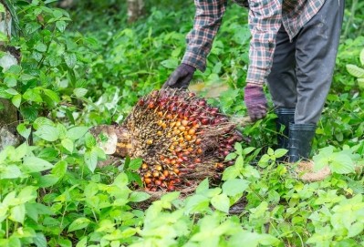A palm oil farmer collects a bunch of palm fruit ©GettyImages/Wirachai