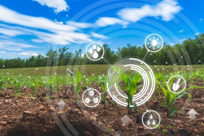 'Businesses are going to have to prove their environmental impact': Agrimetrics on why data will become more important to agri-food / Pic: GettyImages-lamyai 