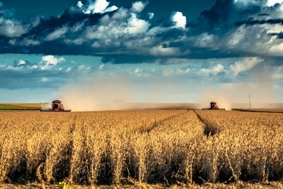 Close to 80% of soy is used for animal feed. Image Source: Herbert Pictures/Getty Images