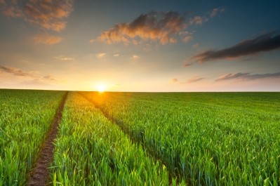 Sustainability will be placed at the heart of UK agri-policy after Brexit, Gove suggests ©iStock