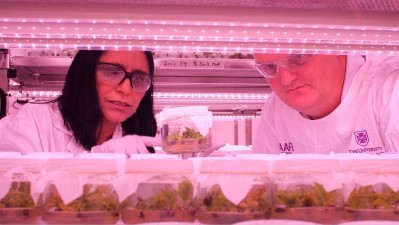 'It is about protecting the world's avocado supplies' Neena Mitter and Chris O'Brien with ready to be cryo-frozen avos. Pic supplied by the University of Queensland