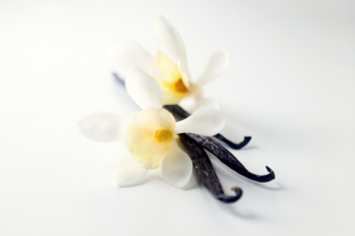 Understanding what drives the liking of vanilla can be leveraged to support innovation, researchers believe / Pic: GettyImages Diana Miller
