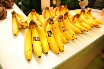 New banana variety launches in France PIC: CIRAD