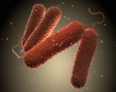 Picture: iStock. Salmonella bacteria