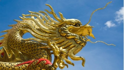 Taming the Chinese dragon is a golden opportunity for poultry traders